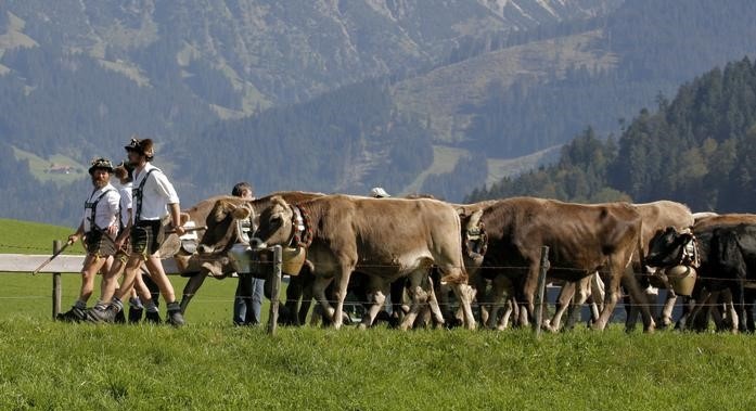 Farmer and Lederhosen - Lederhosen For Sale