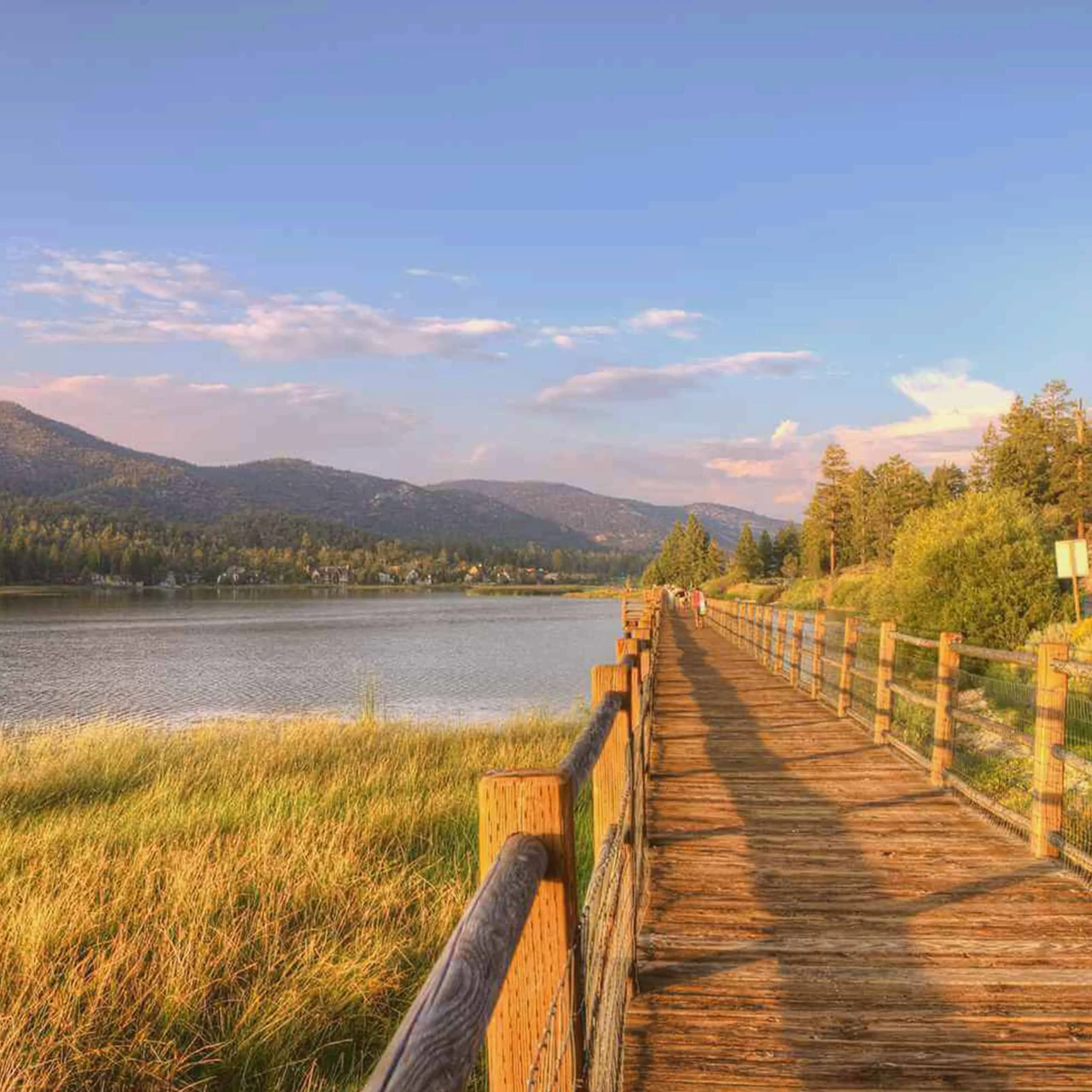 A long wooden boardwalk extending along the scenic grassy shoreline of Big Bear Lake with mountains in the background under a blue sky. - Lederhosen For Sale